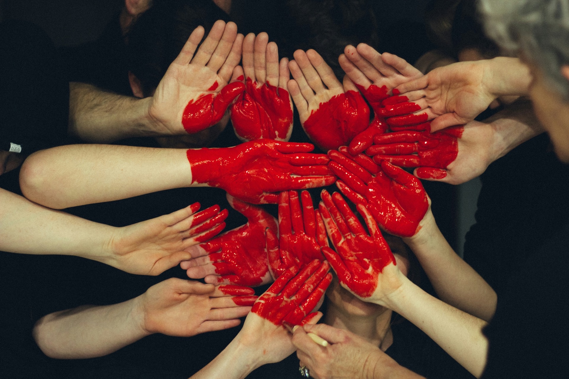 From NPSP to Nonprofit Cloud in Six Weeks: Sammy D Foundation